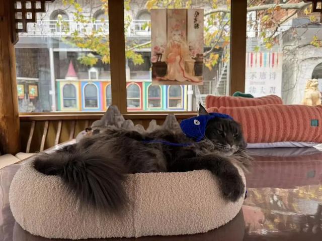 博物FUN | 观复之道：中国首家私立博物馆的“逆生长”密码