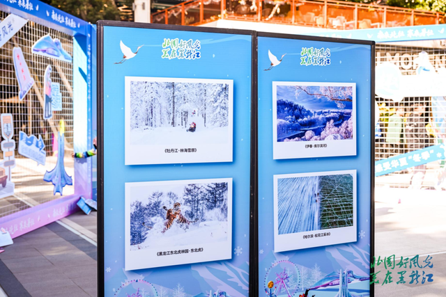 黑龙江邀客共赴冬日盛宴 重点客源地旅游宣推促消行暨2025年黑龙江省冬季旅游宣推活动在广州收官