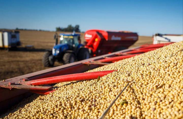 中方刚复购大豆，美国就变脸，美贸易代表通告全球：继续调查中国