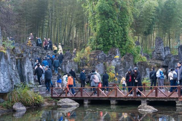 研学、健身、登山、赏景…周末的明月山也太热闹了！