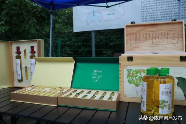 古韵新姿话成县：山水人文与产业的交响