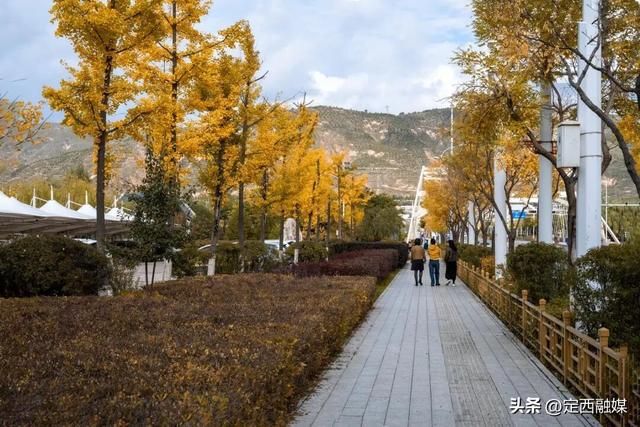 图说定西 | 安定区的限定秋景，又双叒被美到了！