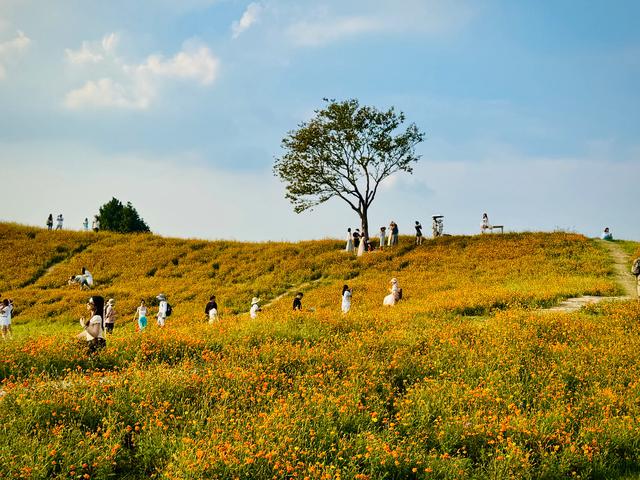 碧云花园，藏着江南阿勒泰！