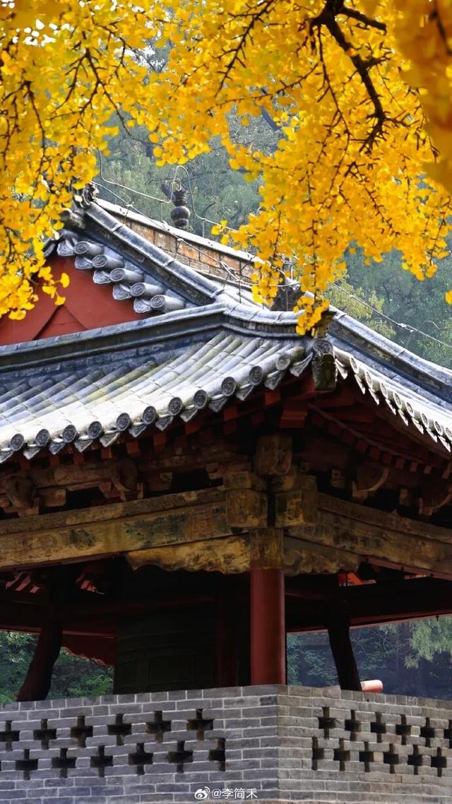 2025四季巡礼！100位寻美客邀你共绘最美泉城图鉴