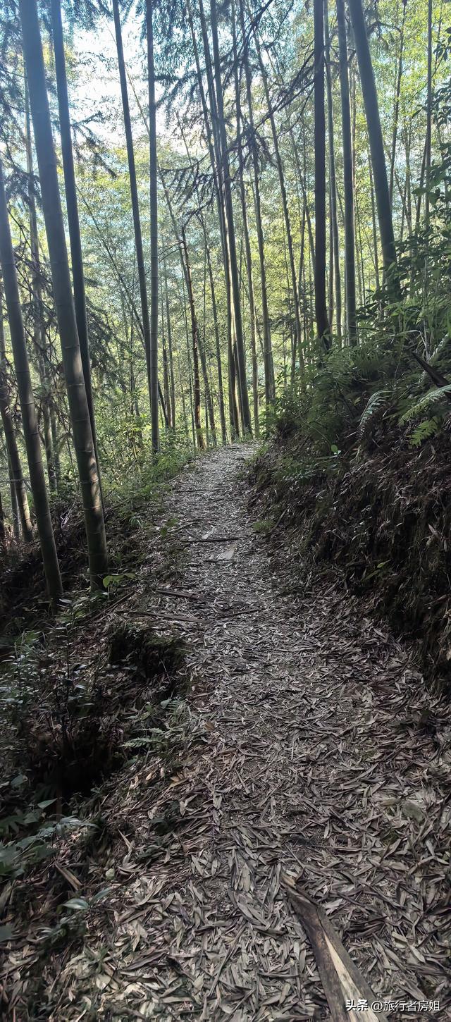 一条古道从浙江到安徽，全程经过三个古村落