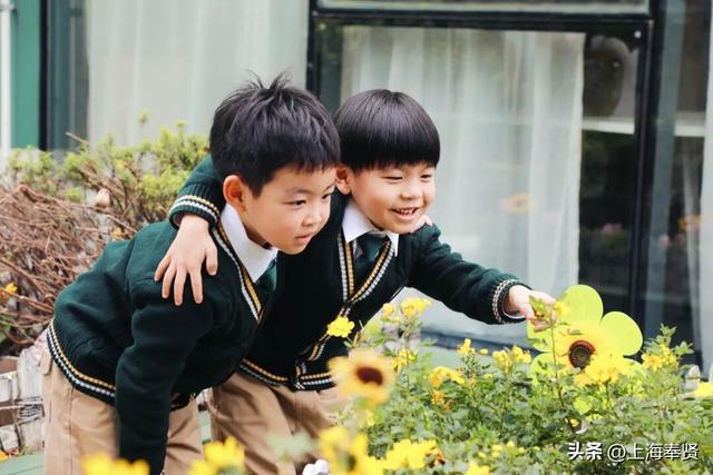 奉浦校园初冬美景大赏，你家娃的学校藏着这样的冬日浪漫