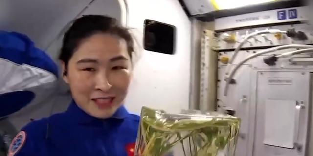 宇航员也能吃上新鲜蔬菜！我国的“菜篮子”工程，影响有多深远？