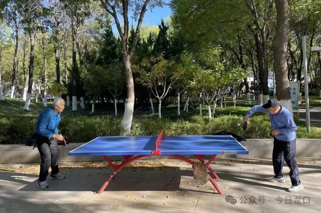 最近，龙口这两个地方美出了新高度！很多人都去打卡~~~