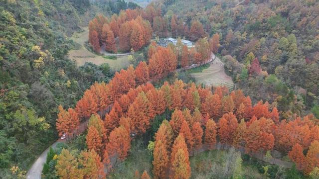 初冬时节红石梁迎来最美打卡季