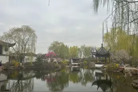 赏花、国潮、购物→在丰台踏春图片