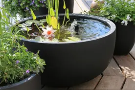 为什么庭院里面要放一个水缸 有什么寓意吗图片