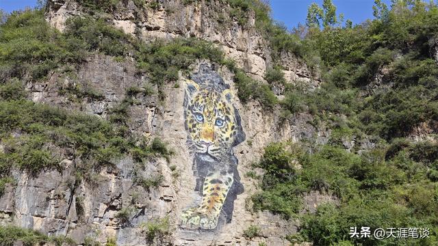 高山与车轮同行，风景与心灵同频，秋季自驾行D6
