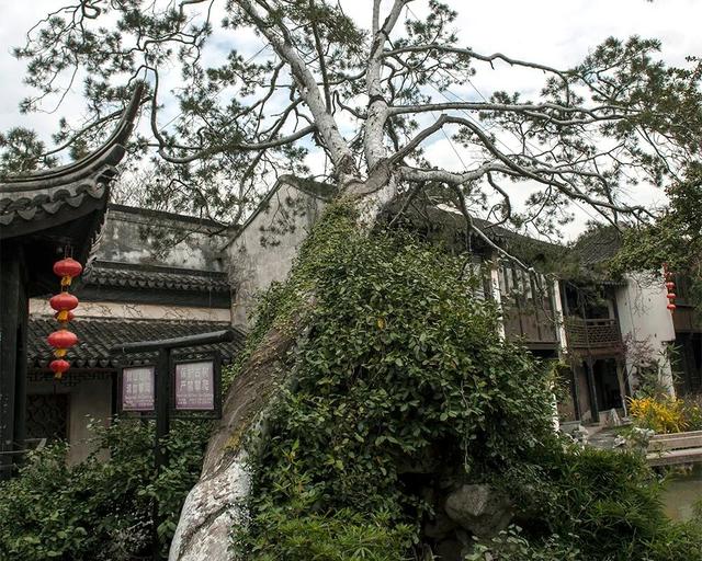 苏州十大“寿星”出炉！