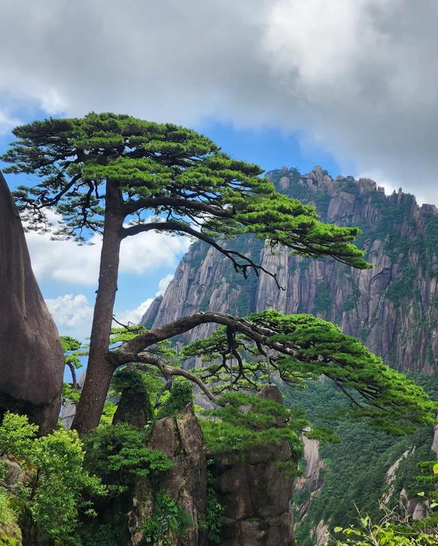 上海人爬了泰山和黄山，实话实说，差别还是很大的