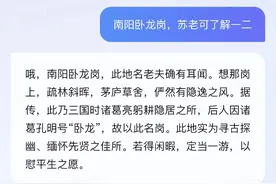“AI苏轼”接受了我的采访，他这样认识南阳！图片