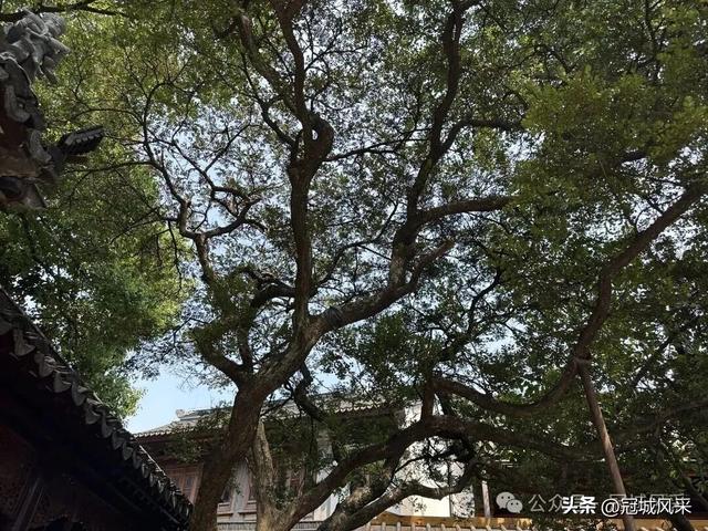 苏州城韵·张澄桥与寒山寺