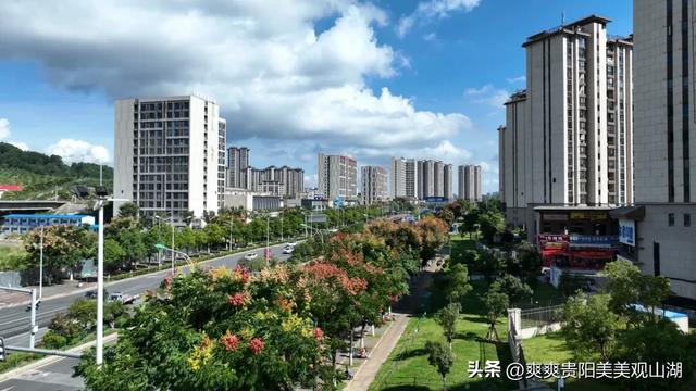 我说“秋天那么美” 栾树：是的！