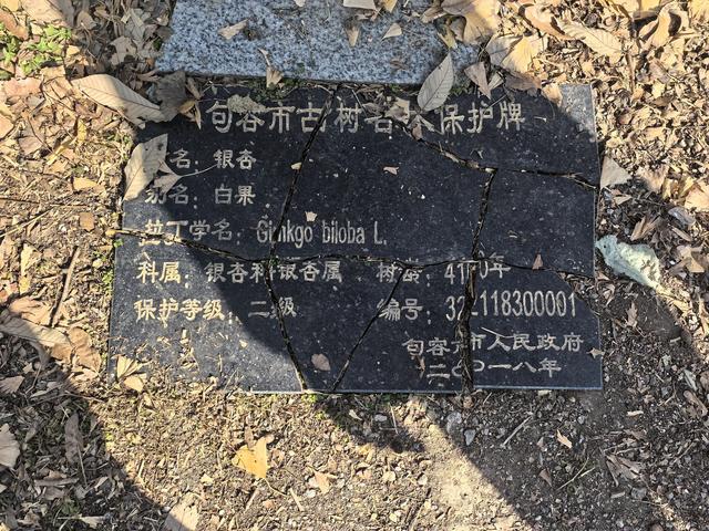 南京第二次到镇江武岐山空青山郊野徒步