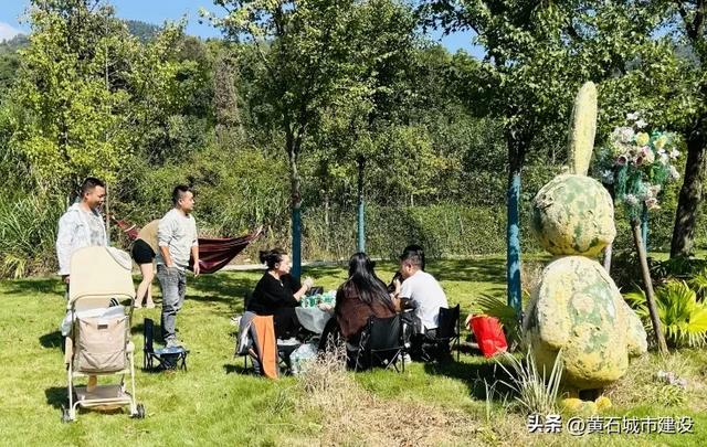 秋日遛娃天花板！黄石这里的百日菊花海美翻了