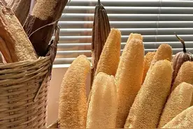 【中药材科普】每天认识一味中草药-丝瓜络图片