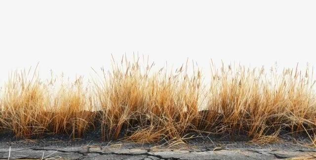 “白天立冬，穿单衣；晚上立冬，冻死牛”，今年立冬在几点？