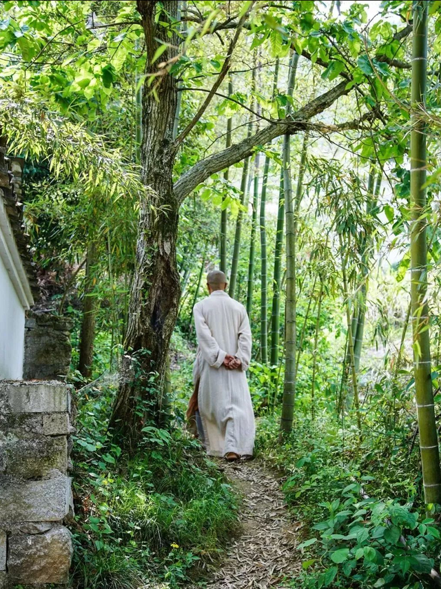 泾县：查济半山一音禅院行