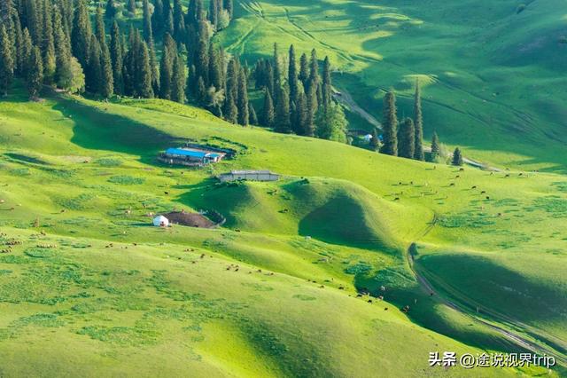 伊犁：中国西北的人间仙境，800公里风景长廊，藏着世间所有美好