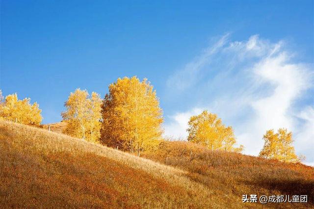 国庆去哪儿？草原金秋、潮汕舌尖味、熊猫守护……4条错峰优选线路，安排！