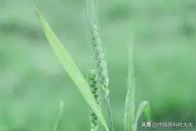 如何才能让海绵体不那么敏感？图片