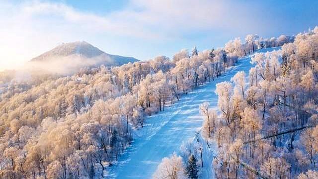 人到中年，一个女人开始频繁运动、健身，往往说明一个问题