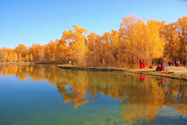 酒泉金塔胡杨林，时光凝固成美丽的神话，奔赴一场秋季的浪漫之旅