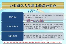 山东省2024年灵活就业养老保险缴费10598.4元，20年能领多少钱？图片