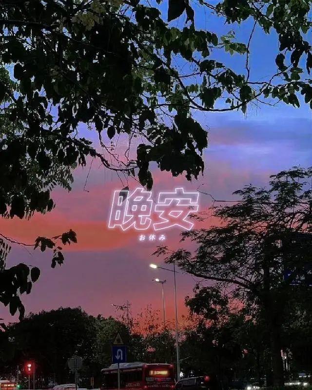 晚安激励正能量语录，睡前清空烦恼，醒来全是好运，晚安。