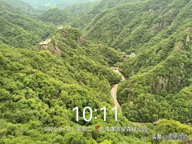 温州这个亲子游玩胜地、植物自然课堂孩子玩嗨家长不累