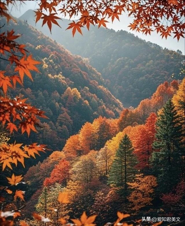 十一月，赴一场深秋之约