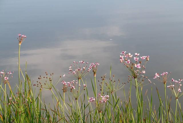 情人走到这一步就是缘分将尽的信号！