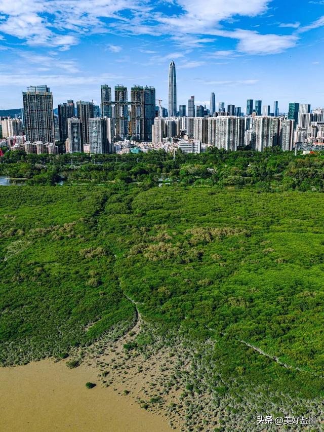 一座城，45年的海阔天空