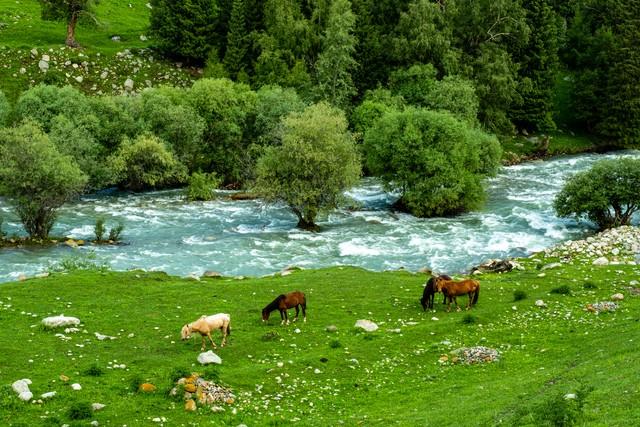 从荒原到新城！可克达拉的70年，藏着几代人的家国深情与未来期许