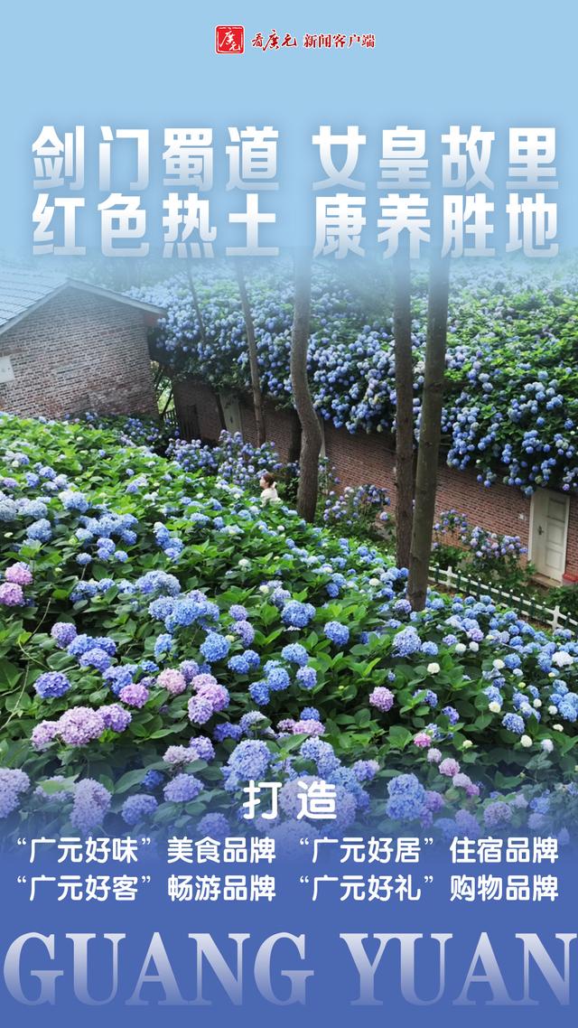 海报｜广元向“国际”！带你聚焦全会热点