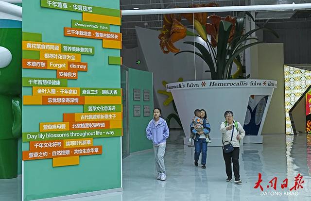 云州秋“妆”上线！从忘忧大道到黄花小镇，步步皆是“诗与远方”
