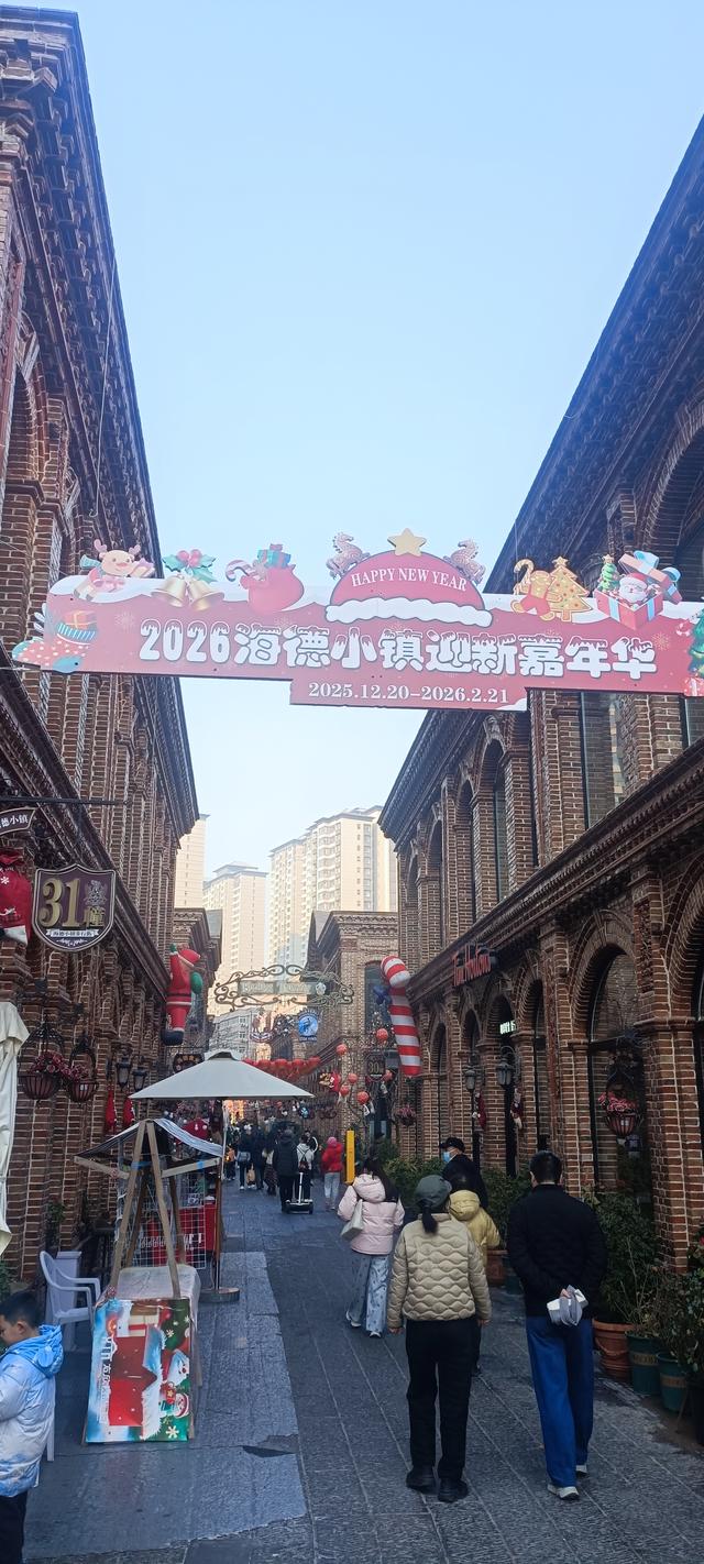 圣诞快乐的海德小镇