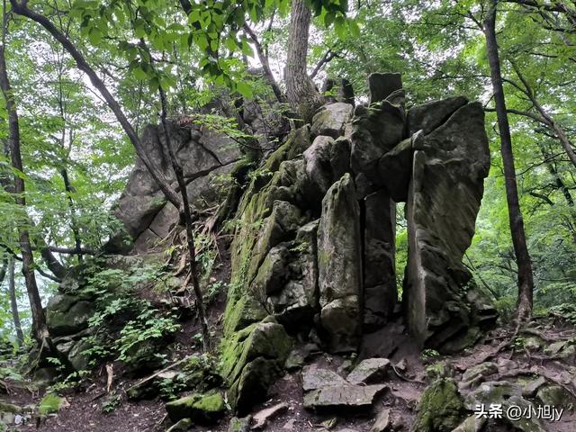 来呀，去白云山看金莲花，辽阳县大黑山风景区境内的白云山
