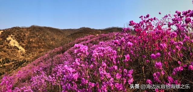 两性之间，女人愿意让你摸她这两个地方，其实就是在默默表白