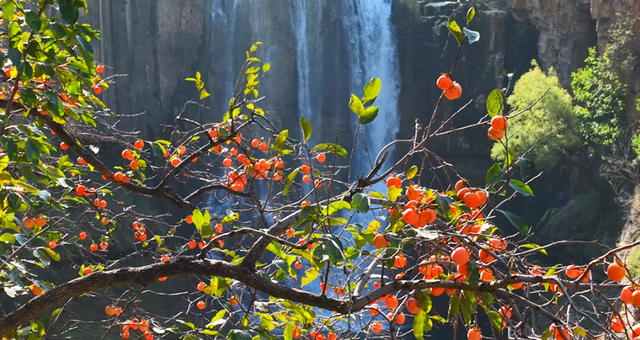 长治的金秋，何处最美？