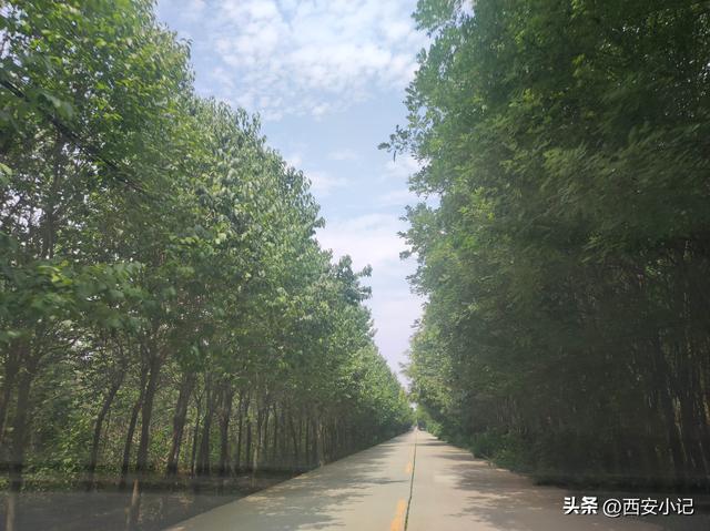 西安一地隐藏着两千多年前的石雕像，是我国现存最早的，你来过吗