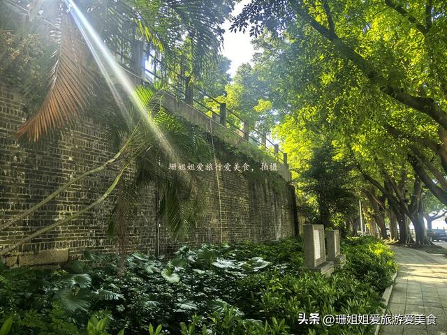 惠州“最后”的古城墙，完好的300多米，榕树穿墙而生，像留城魂