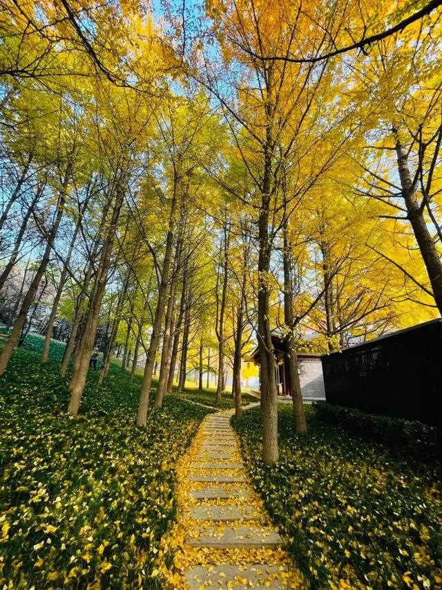 西安周末好去处——初冬8处宝藏公园免费又好玩！