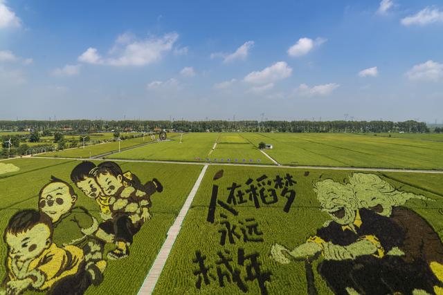 辽宁沈阳：一处画在田间人在画中的景区吸引来自四面八方的游人