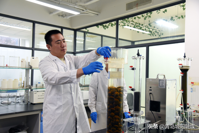 青岛金旭环境：坚持技术创新 提升环境治理能力