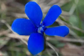 “六亲缘浅”之人，是天选之人，是有福之人，他们有这几个特点图片